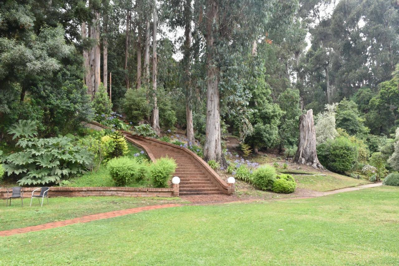 Hotel Bosque De Renaca Vina del Mar Extérieur photo
