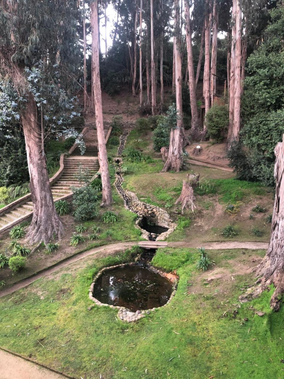 Hotel Bosque De Renaca Vina del Mar Extérieur photo